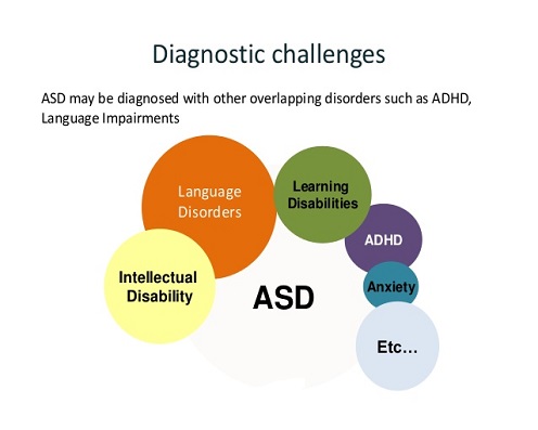 autism-spectrum-disorder-13-638