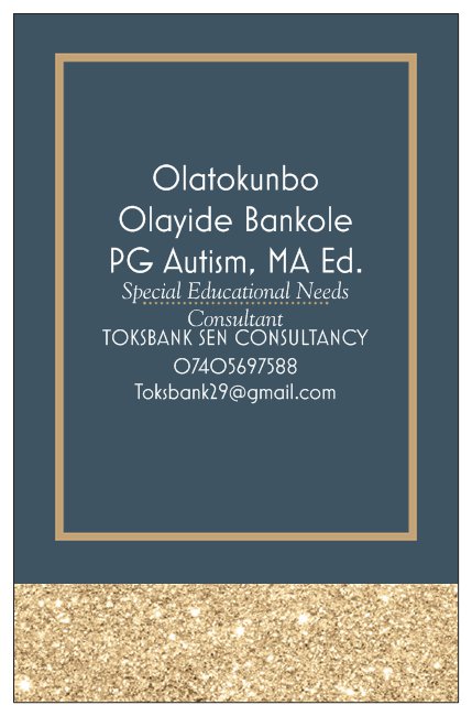 SEN CONSULTANCY 2